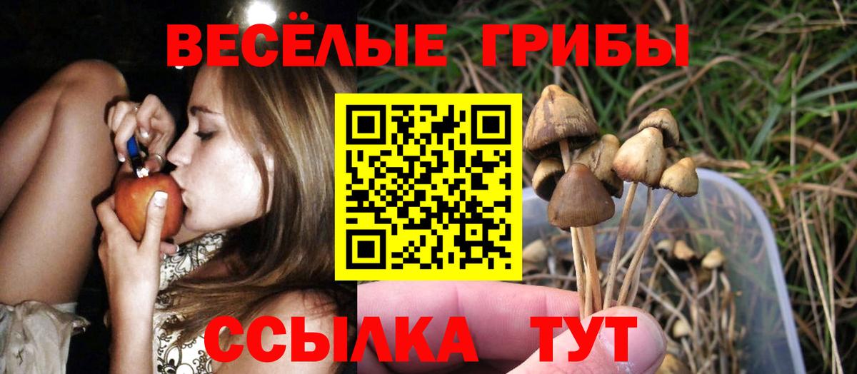 Галлюциногенные грибы прущие грибы  Вход с VPN  Тулун 