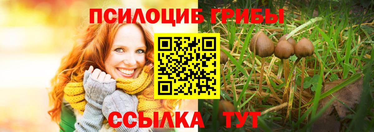 Галлюциногенные грибы мухоморы Тулун